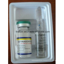 GMP Certified Ceftriaxone Sodium Injection / Ceftriaxone Sodium for Injection